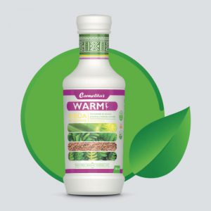 WARMY (bebida concentrada)