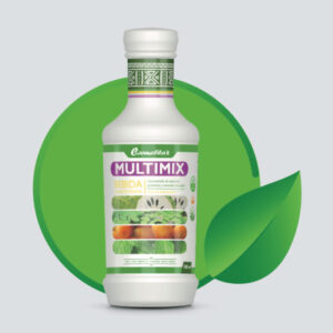 MULTIMIX (bebidas concentradas)