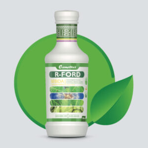 R-FORD (bebida concentrada)
